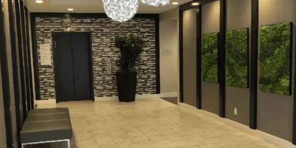 Time Wellness Georgia