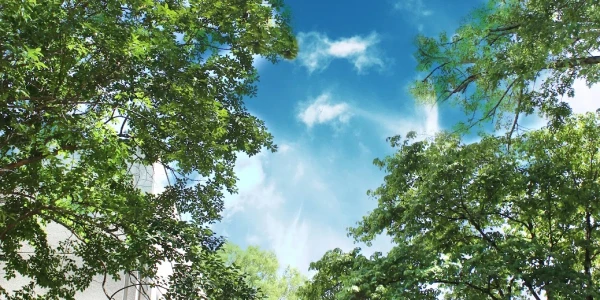 North Fulton Service Center - Adult Behavioral Health Services